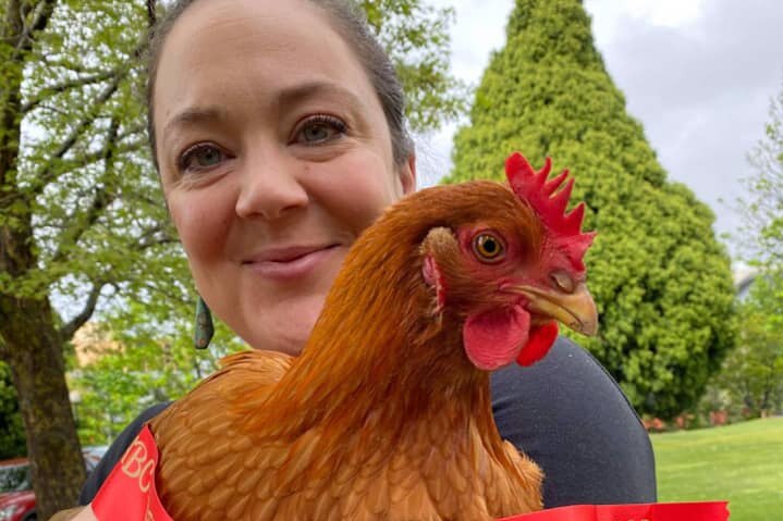 Close up photograph of a woman smiling holding an auburn chicken that is wearing a sash that reads Tasmania's Virtual Show 2020