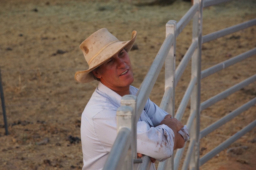 Adrian Brown in the cattle yards of his NT station.
