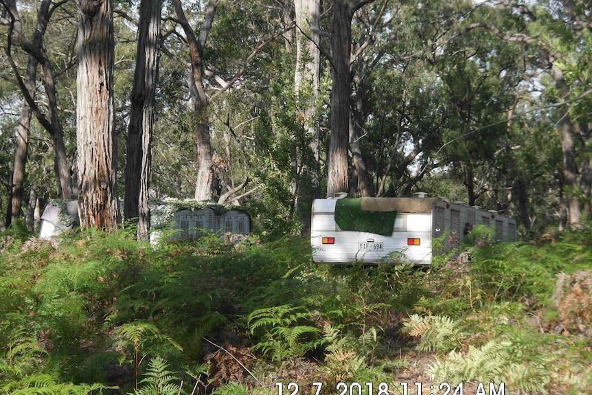 Caravan trailers with camouflage netting in Victorian bushland.
