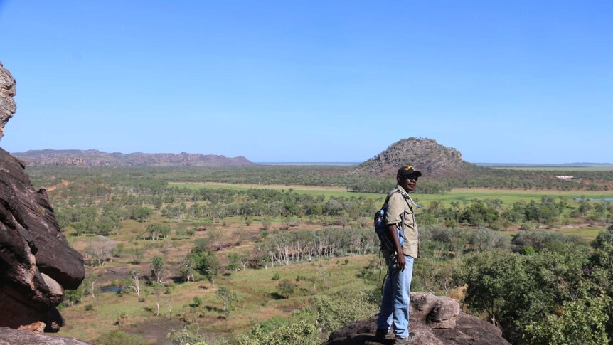 A man stands on a rock overlooking Australian bushland