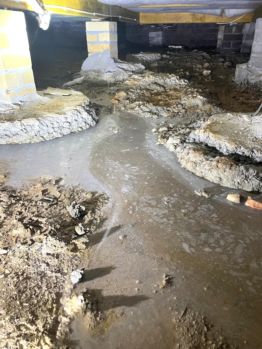 Water pooling under Tasha Jordan's brand-new house.