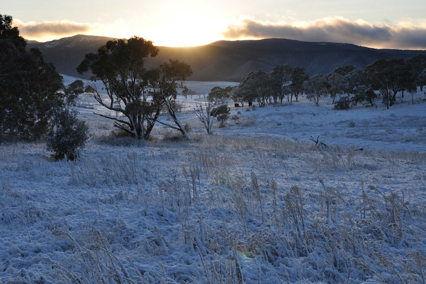 Canberra cold winter