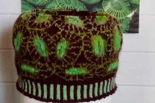 A green and brown knitted beanie, depicting a circular pattern.