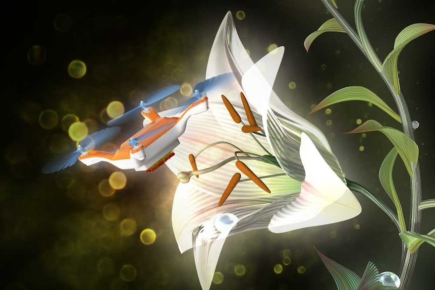 Robot bees collect pollen from a lily flower (ONE USE ONLY)