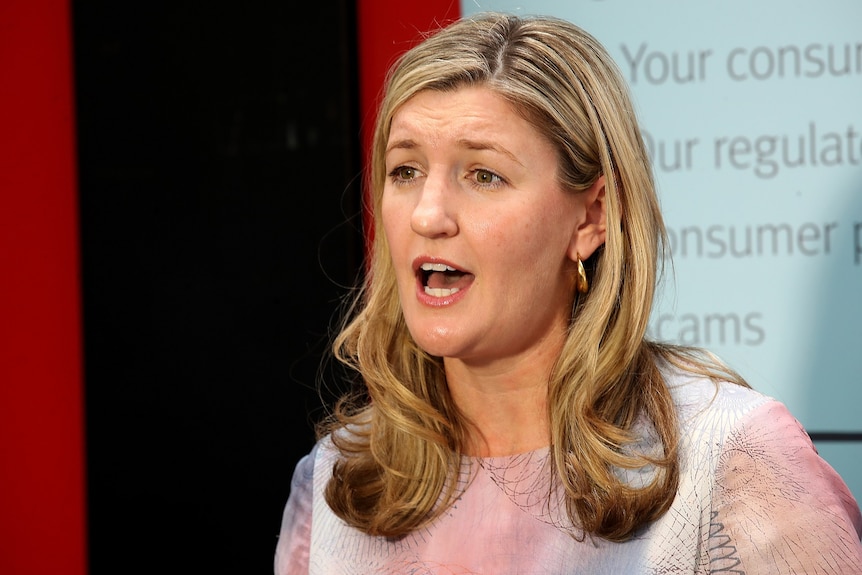 Queensland Attorney-General Shannon Fentiman speaks at a press conference