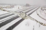 Snowy owl flying above snowy roads