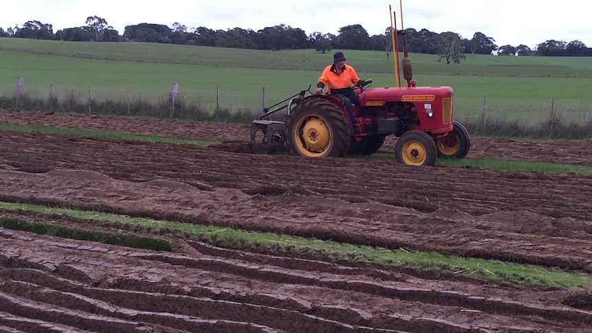 A competitor at the Australian Ploughing Championships