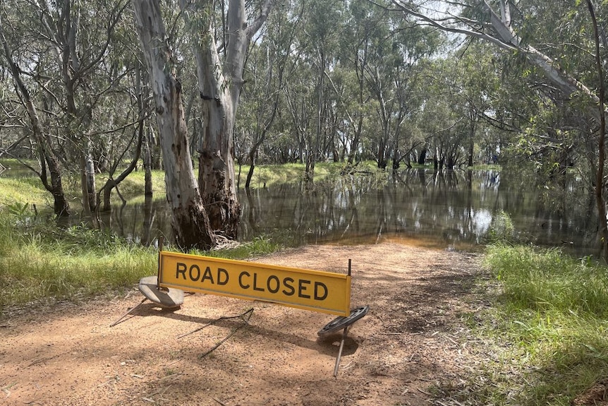 A "road closed" sign in a bushy area where flooding is occurring.