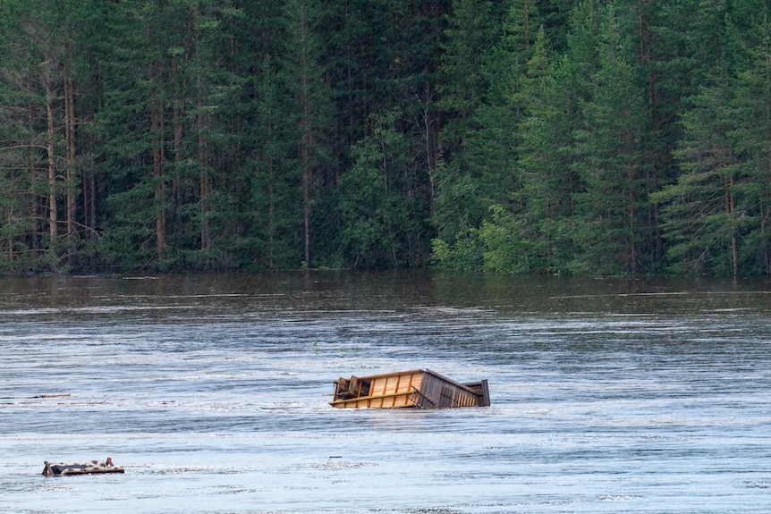 the top part of a wooden cottage floating in murkey brown water with forest trees behind
