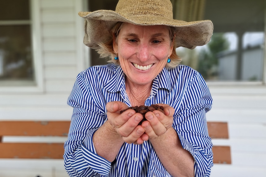 A woman in a hat and blue shirt holds jojoba seeds in her hands.