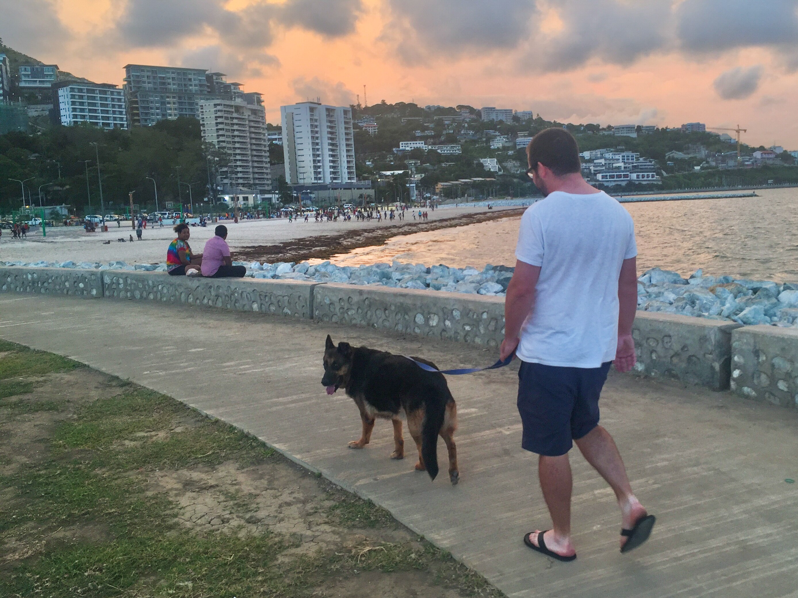 A lovely German Shepherd walks on a leash, being led by a man in a t-shirt along a beach front