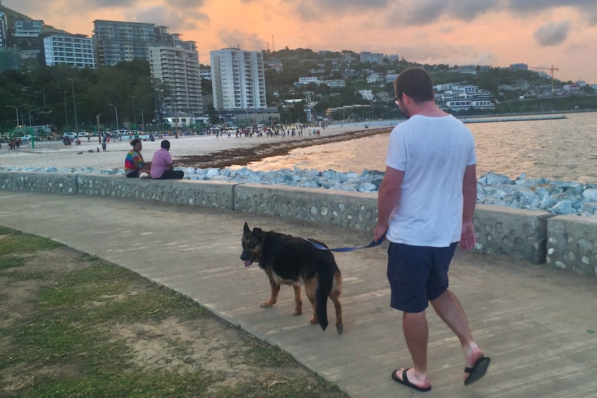 A lovely German Shepherd walks on a leash, being led by a man in a t-shirt along a beach front