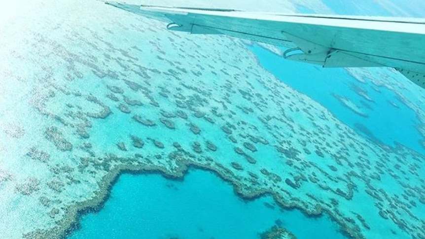 A picture taken from a scenic flight over Hardy Reef in the Whitsundays in November 2017.