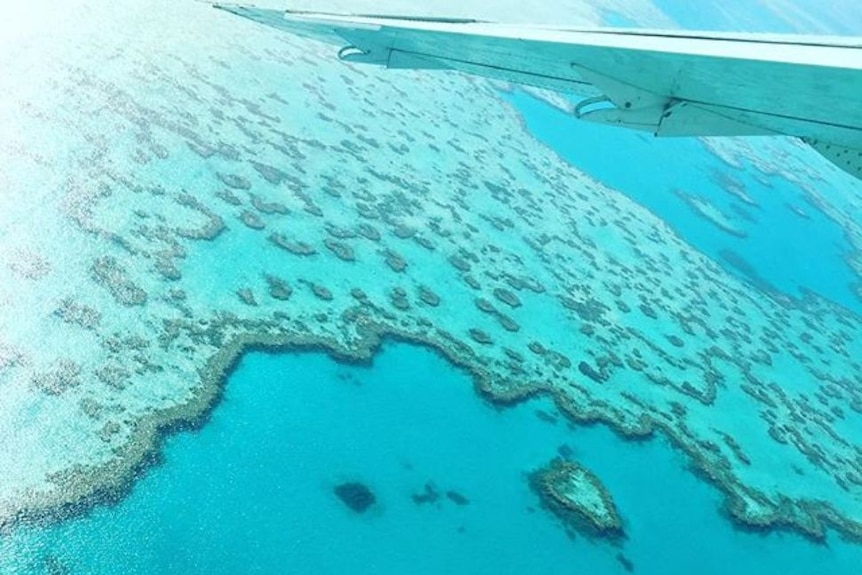 A picture taken from a scenic flight over Hardy Reef in the Whitsundays in November 2017.