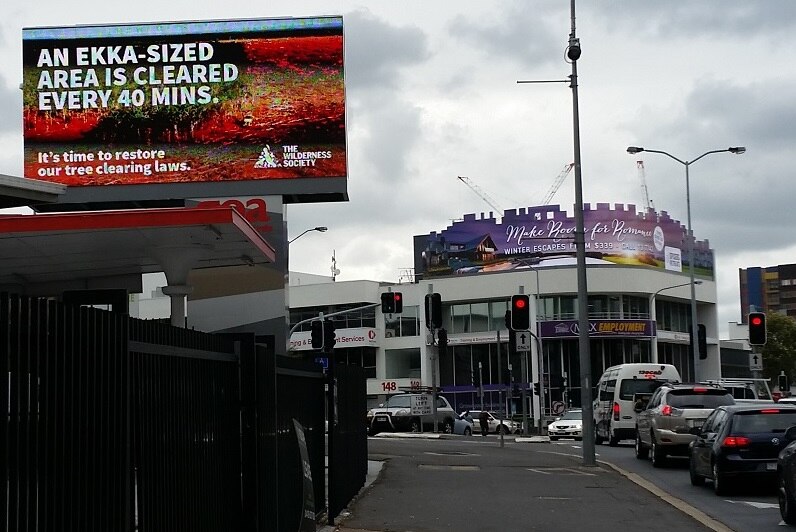 Wilderness Society billboard reads 'An Ekka-sized area is cleared every 40 minutes'.