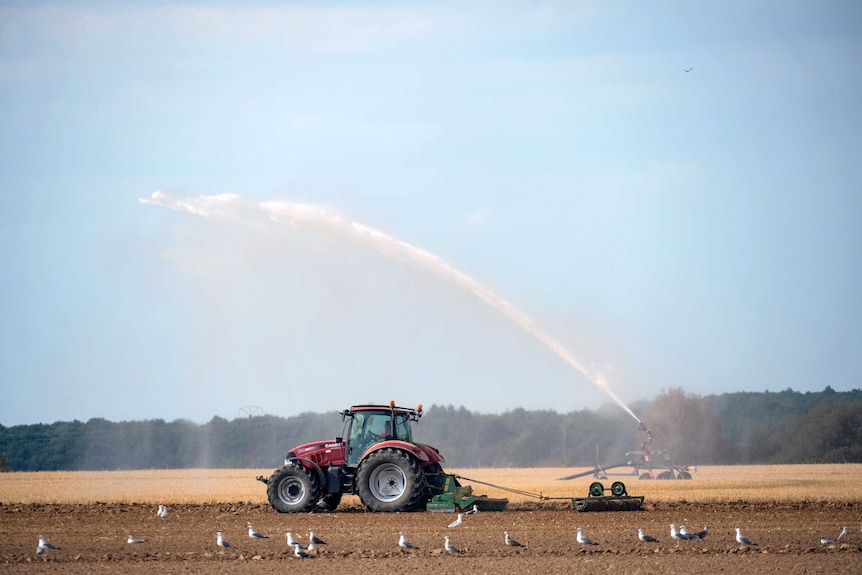 A farmer using a tractor prepared his field before planting a crop.