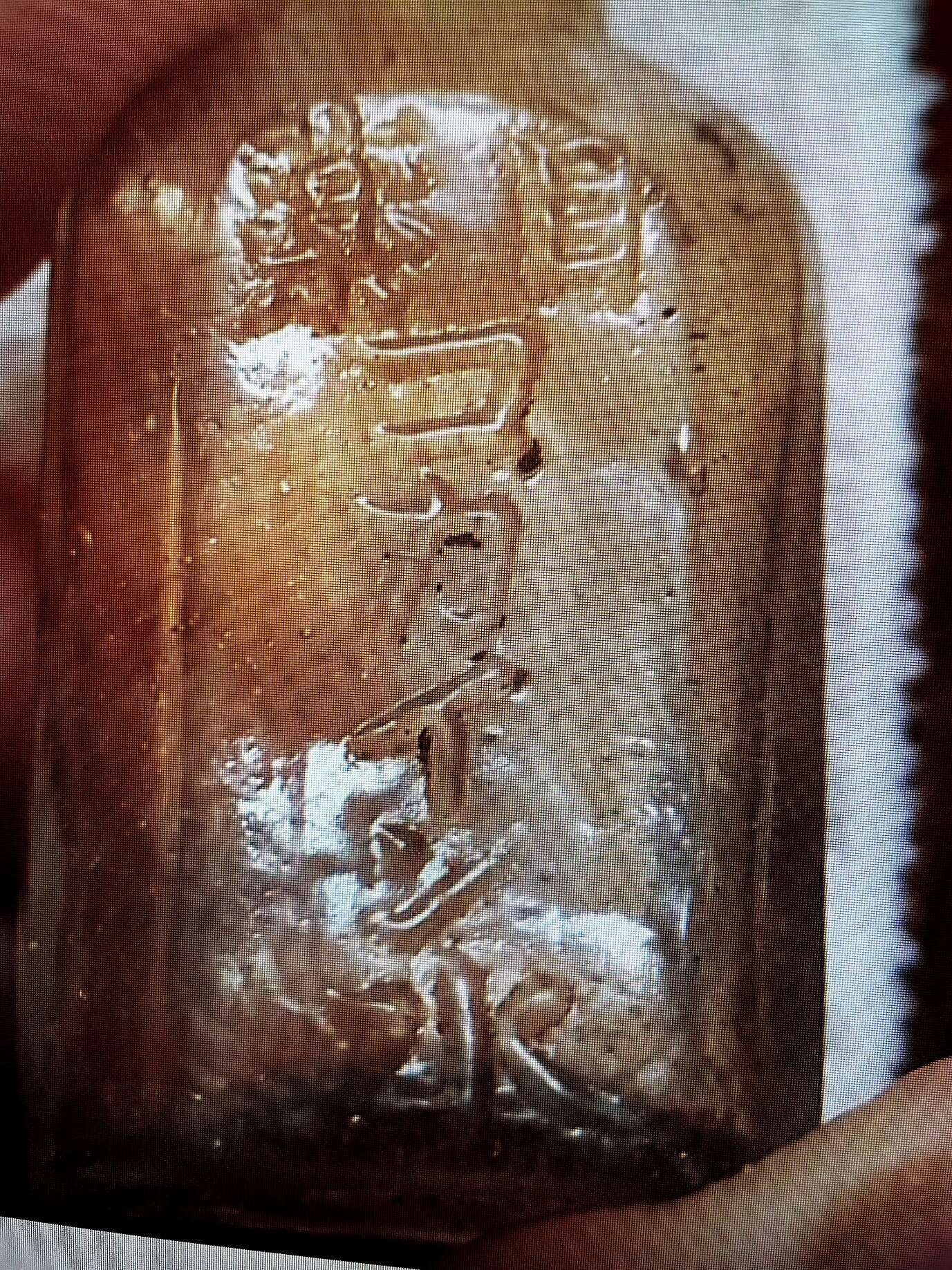 cocaine eye drops written in Japanese on glass