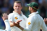 Peter Siddle celebrates wicket against West Indies