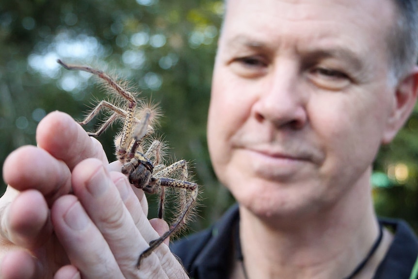 man holding large spider