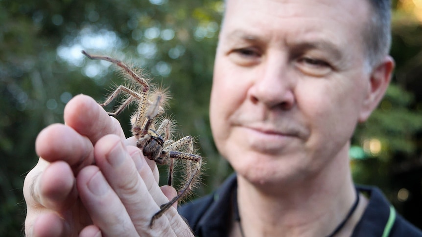 A man holding a large spider.