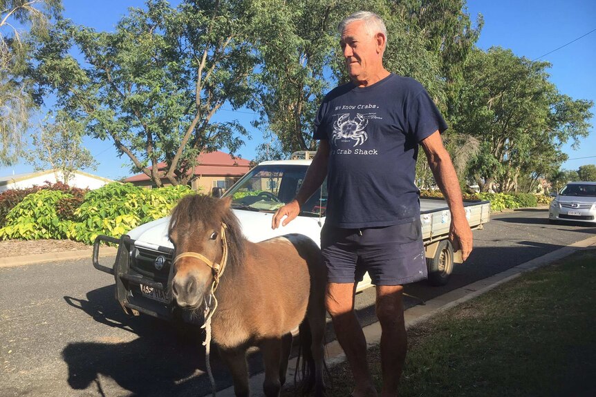 Stan Webber with Patch the miniature horse