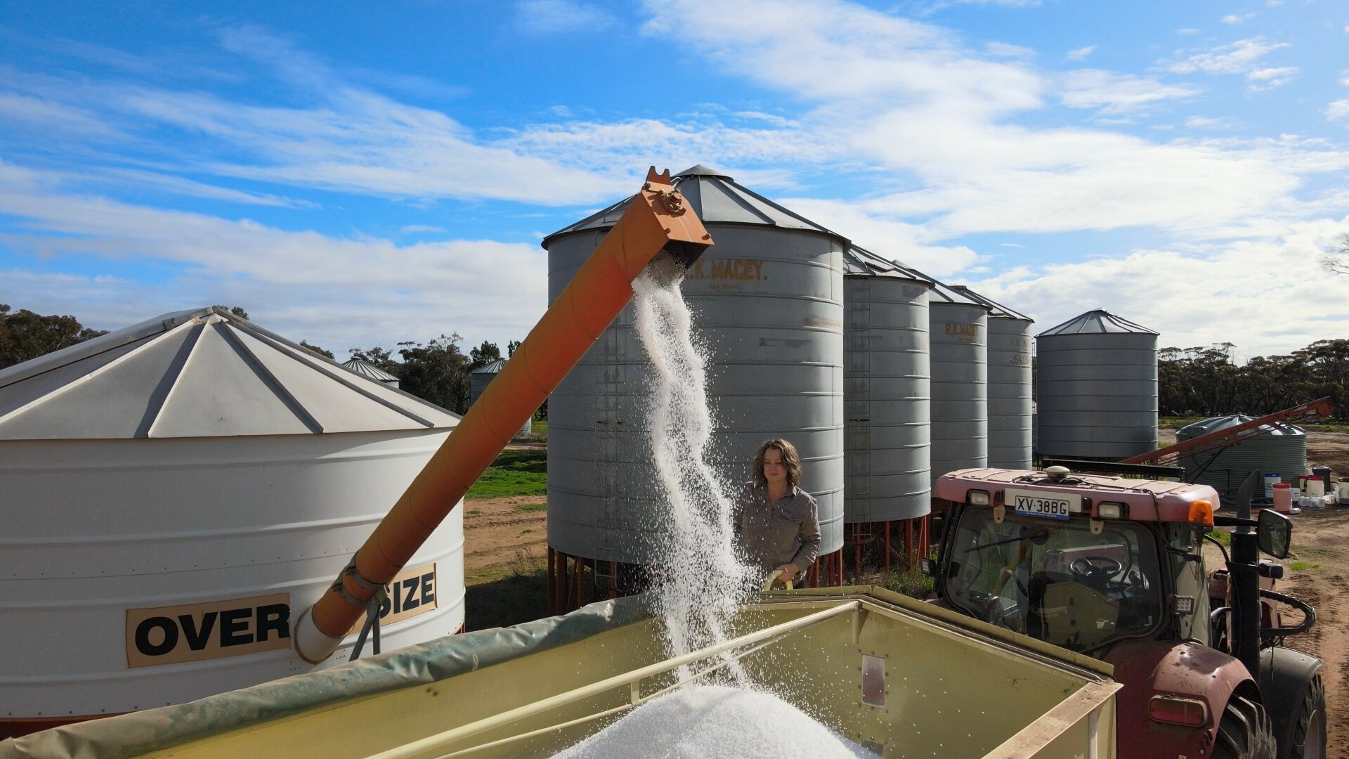 small white urea pellets spill form an augur into a large trailer as a woman watches from the side