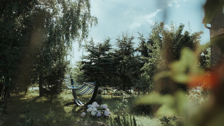 A nice shady garden with a hammock.