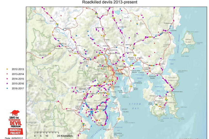 Map of Tasmania with coloured lines and dots showing where Tasmanian devils have been killed on roads