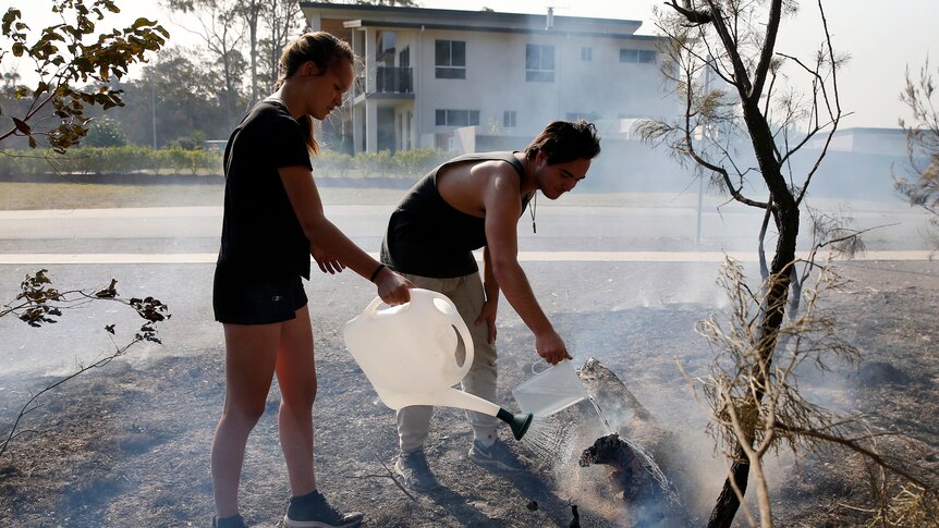 A man and woman pour water on a spot fire in New South Wales