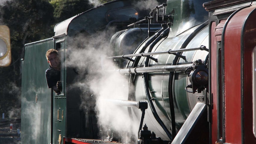 Steam locomotive at the Don River Railway, Tasmania.