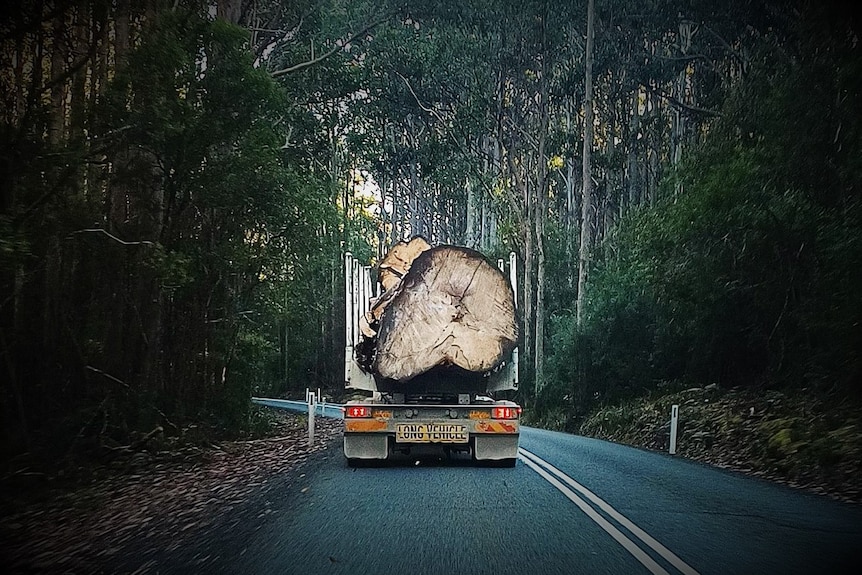 Truck with large felled tree on back travelling on Tasmanian rural road.