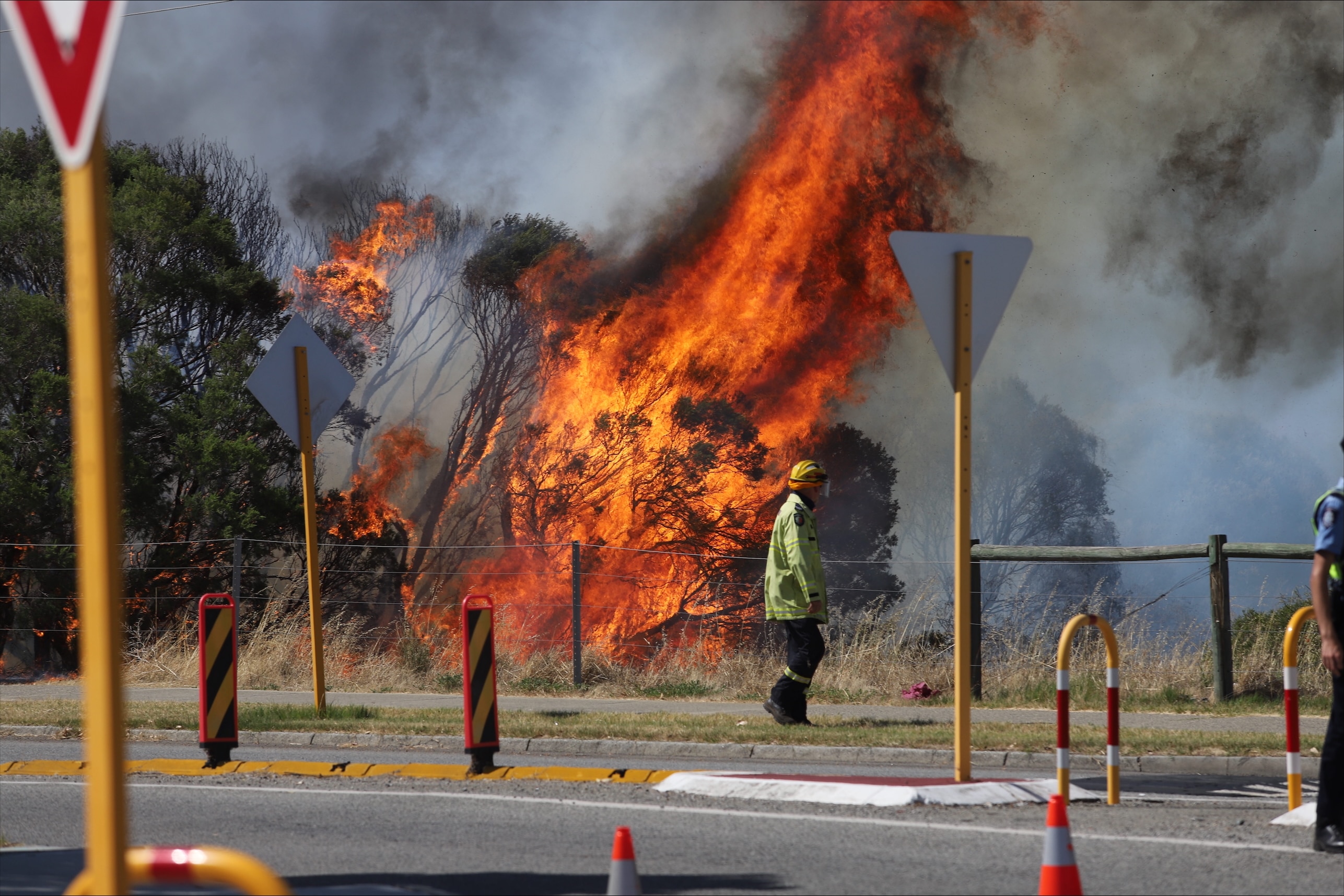 Dry trees increasing danger for firefighters this fire season