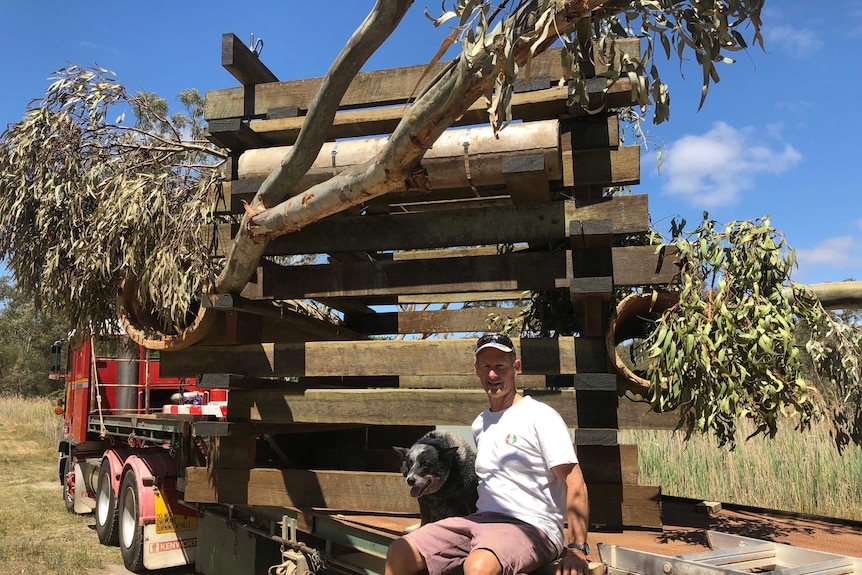 Man sits on back of a truck with a cab that's built from logs and trees.