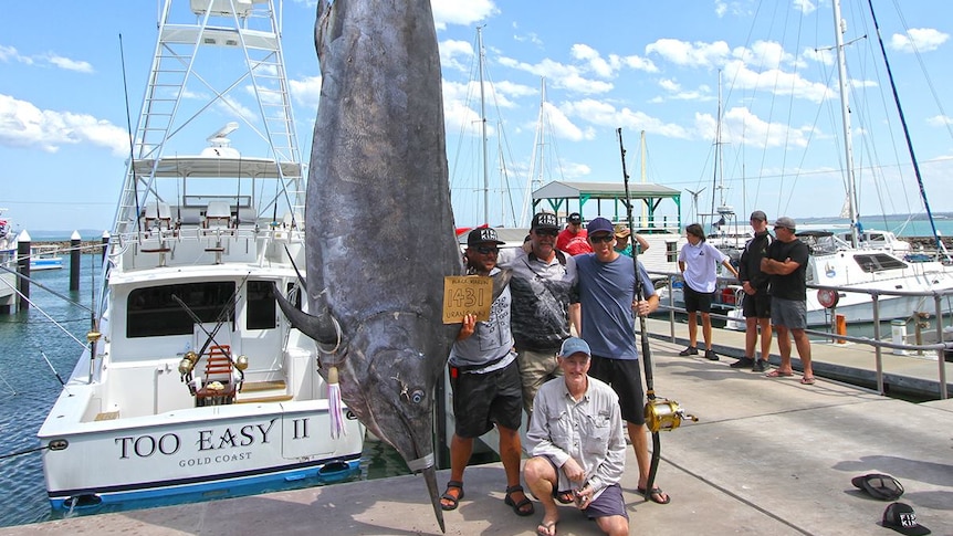 Angler Rob Crane and his crew standing beside a 650 kilogram black Marlin hanging from a crane.