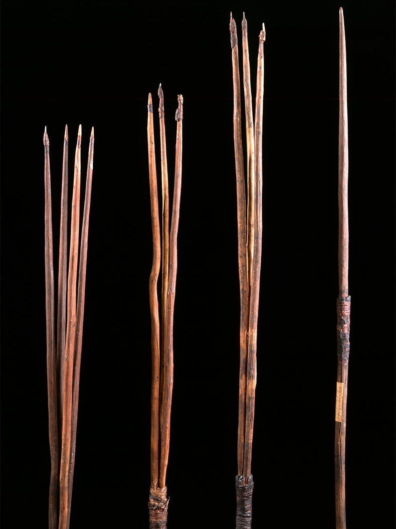 Four wooden spears, some with multiple pronges