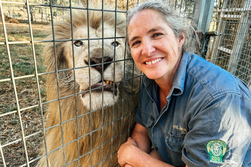 a woman kneels down in front of a lion enclosure with a lion beside her