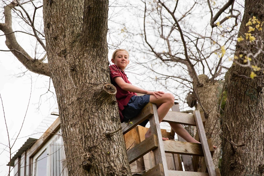 A young boy sitting in a tree house.