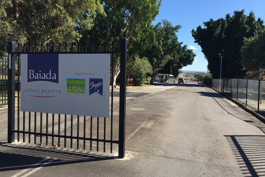 The gates outside a Baiada business at Beresfield with a sign that reads 'Baiada select poultry'