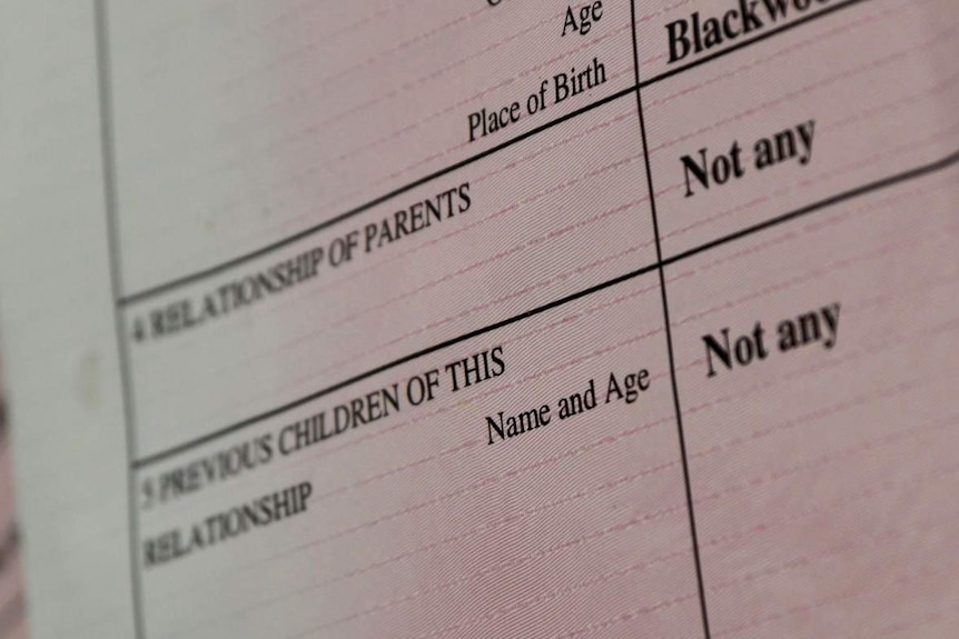 A birth certificate reads "Not any" in a field named 'Relationship of Parents'.