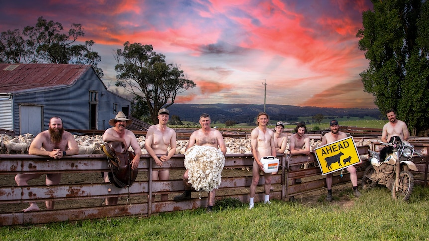 Nine men standing in front of sheep and beside a steel panel fence.