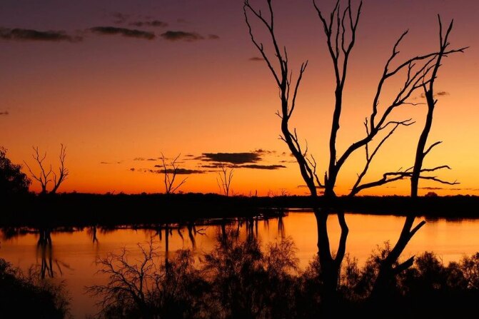 A silhouette of trees over an orange sunset with the winding river behind.