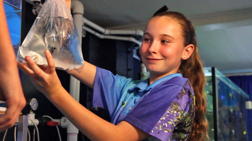 A smiling girl holds up a plastic bag which contains a clownfish hatchling