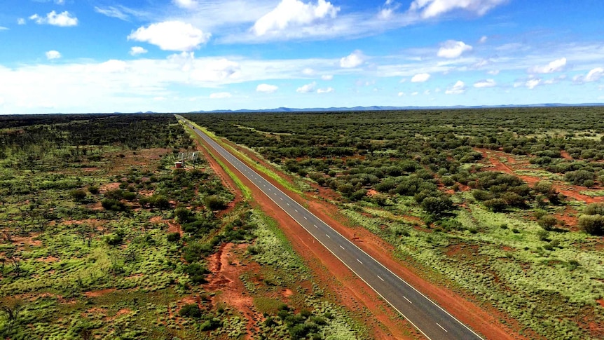 Vivid green surrounds a red dirt road desert over Bond Springs cattle station near Alice Springs.