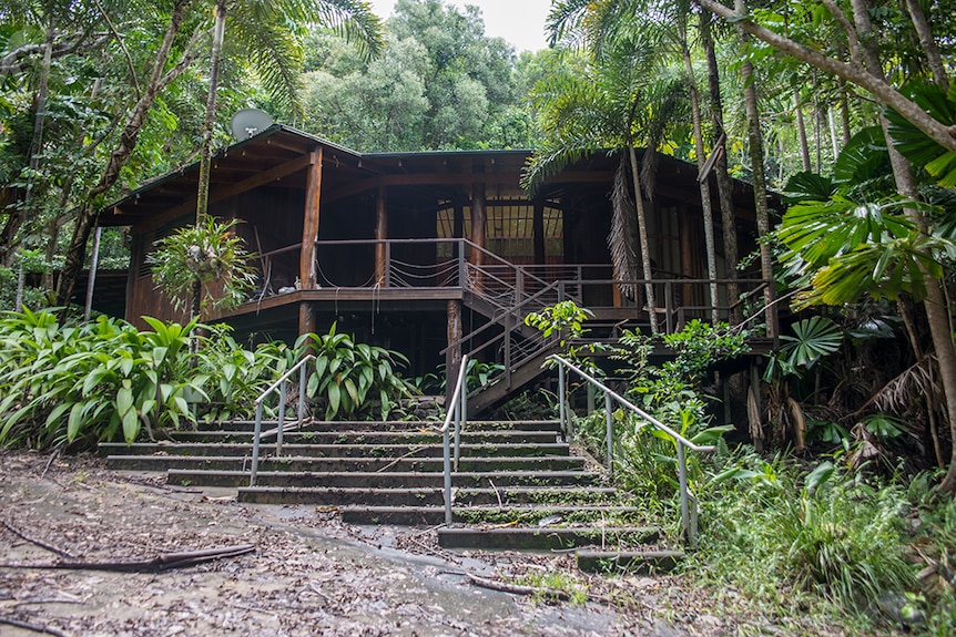 Fallen leaves, overgrown plants and creeping vines take over the staircase leading into the reception area of the resort.