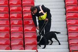 A police sniffer dog and its handler moves through the stands at Old Trafford.
