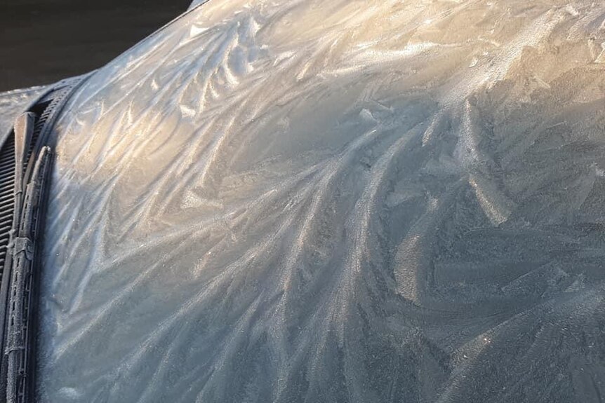 Frost patterns on windscreen of car.