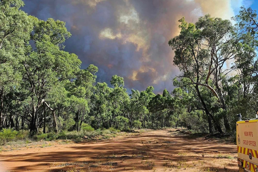 A fire in the Pilliga state Forest