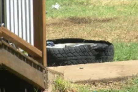 The abandoned house had rubbish and tyres in the backyard where the three boys were playing with petrol.