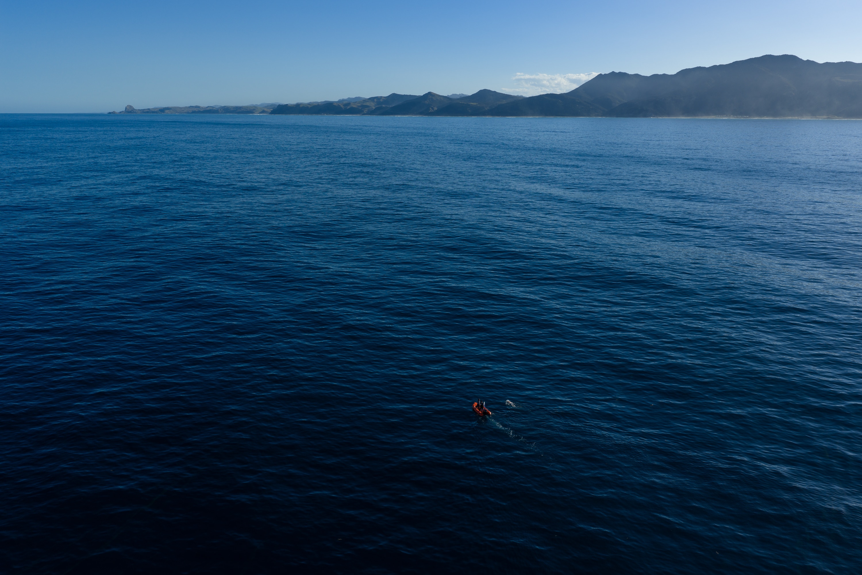 Jono Ridler swims in a vast expanse of ocean