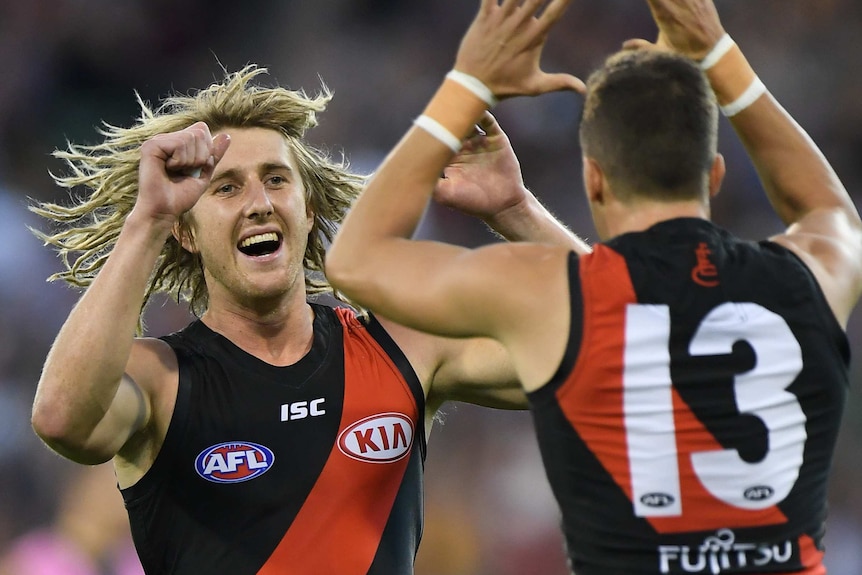 Dyson Heppell and Orazio Fantasia get excited against the Hawks